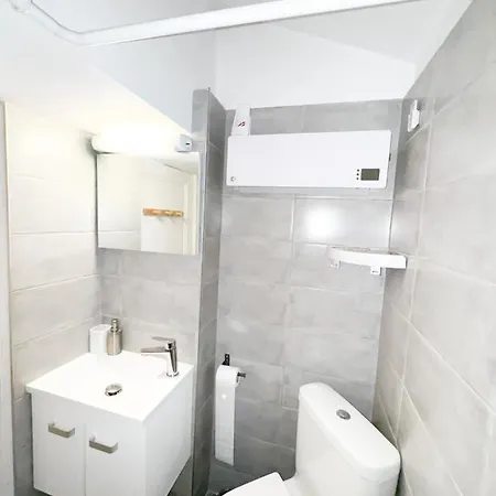 Begonias T3 Avenue De Lodeve Montpellier